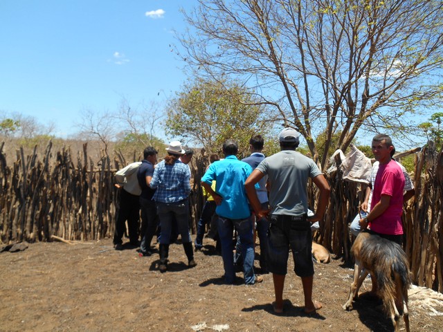 Universidade Federal Desenvolve Projeto em Ipiranga do Piauí - Imagem 93