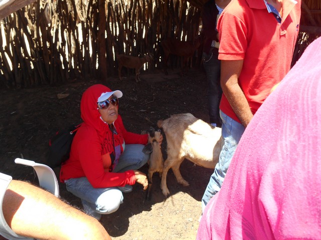 Universidade Federal Desenvolve Projeto em Ipiranga do Piauí - Imagem 42