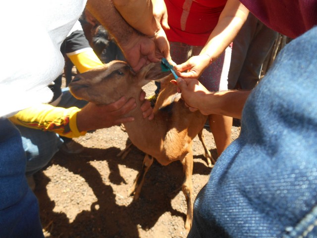 Universidade Federal Desenvolve Projeto em Ipiranga do Piauí - Imagem 67