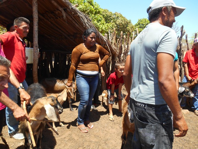 Universidade Federal Desenvolve Projeto em Ipiranga do Piauí - Imagem 27