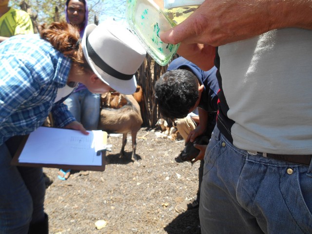 Universidade Federal Desenvolve Projeto em Ipiranga do Piauí - Imagem 87