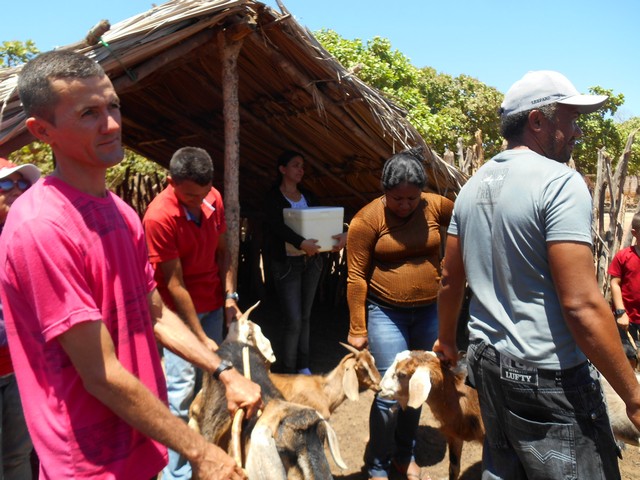Universidade Federal Desenvolve Projeto em Ipiranga do Piauí - Imagem 36