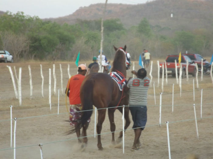 19ª Corrida de Cavalo - Imagem 29