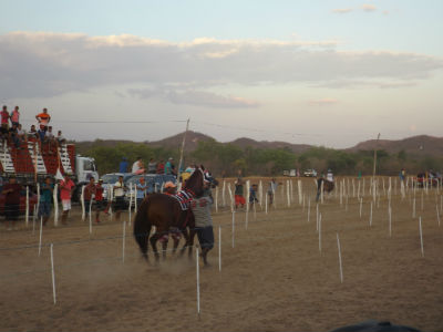 19ª Corrida de Cavalo - Imagem 28
