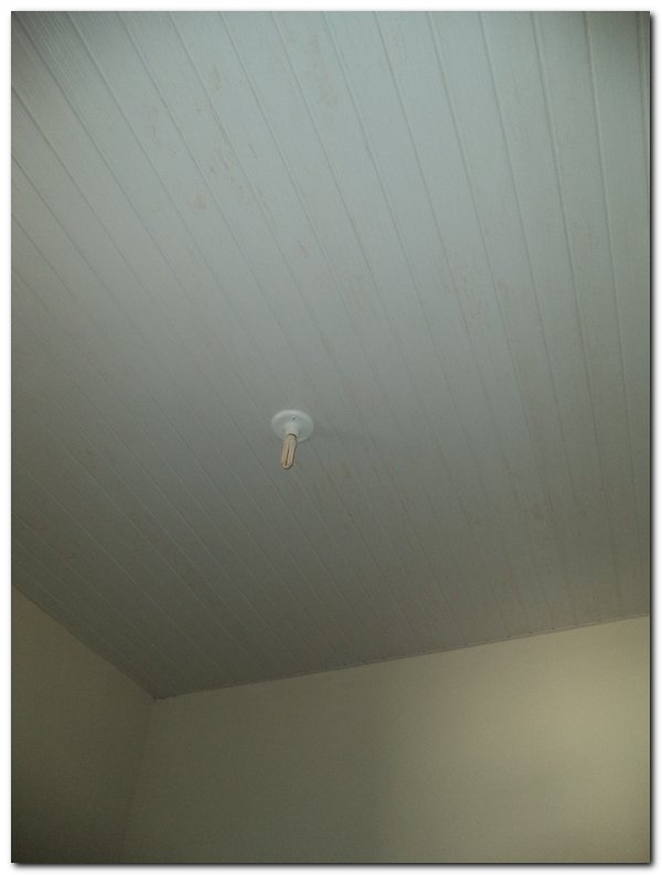 Prefeitura Inhuma reforma o Arquivo Morto Municipal - Imagem 16