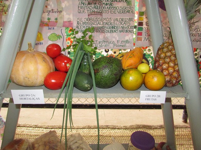 Escola Liberato Vieira Realizou a Culminância do Projeto de Potencialidades da Localidade Brejo da Fortaleza - Imagem 74