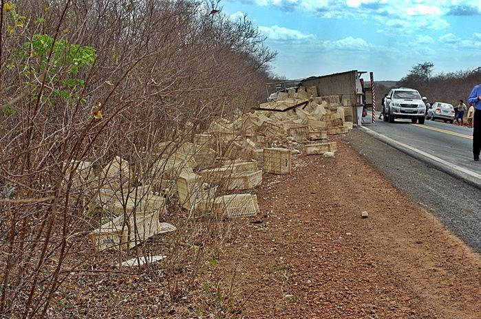 Caminhão com seis toneladas de frango tomba na BR-402 e deixa três feridos - Imagem 4