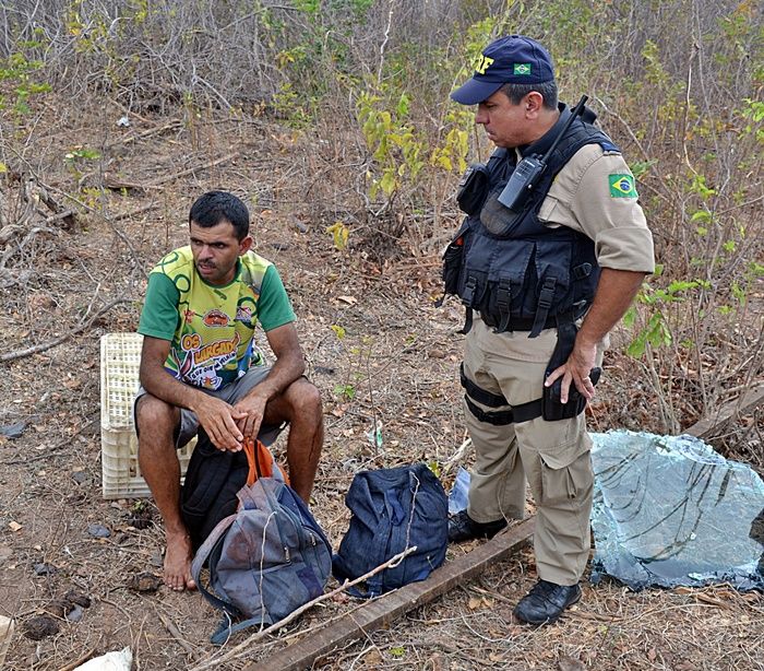Caminhão com seis toneladas de frango tomba na BR-402 e deixa três feridos - Imagem 5