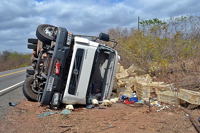 Caminhão com seis toneladas de frango tomba na BR-402 e deixa três feridos - Imagem 2