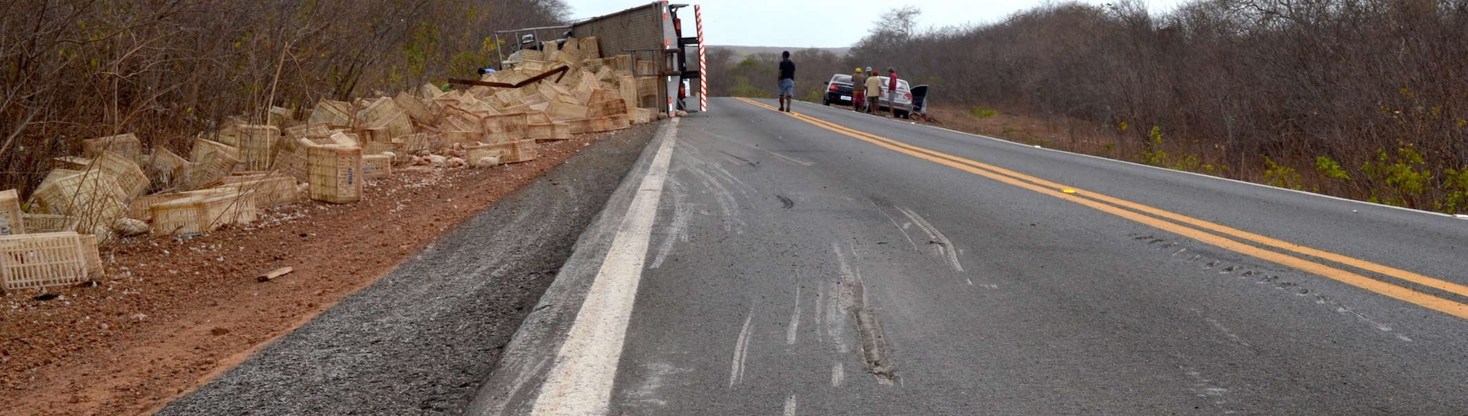 Caminhão com seis toneladas de frango tomba na BR-402 e deixa três feridos