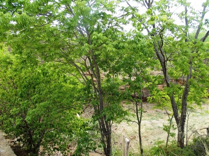 Prefeitura de São João da Varjota-PI Recupera Barragem na Região Quilombola de Paquetá e Potes - Imagem 25