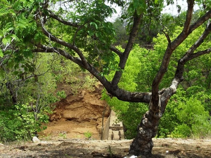Prefeitura de São João da Varjota-PI Recupera Barragem na Região Quilombola de Paquetá e Potes - Imagem 31