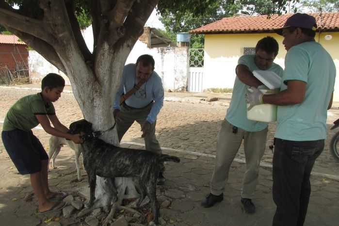 Vacinação de Cães e Gatos já iniciou em Agricolândia  - Imagem 8