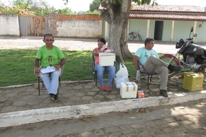 Vacinação de Cães e Gatos já iniciou em Agricolândia  - Imagem 3