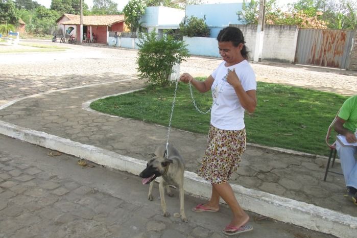 Vacinação de Cães e Gatos já iniciou em Agricolândia  - Imagem 2