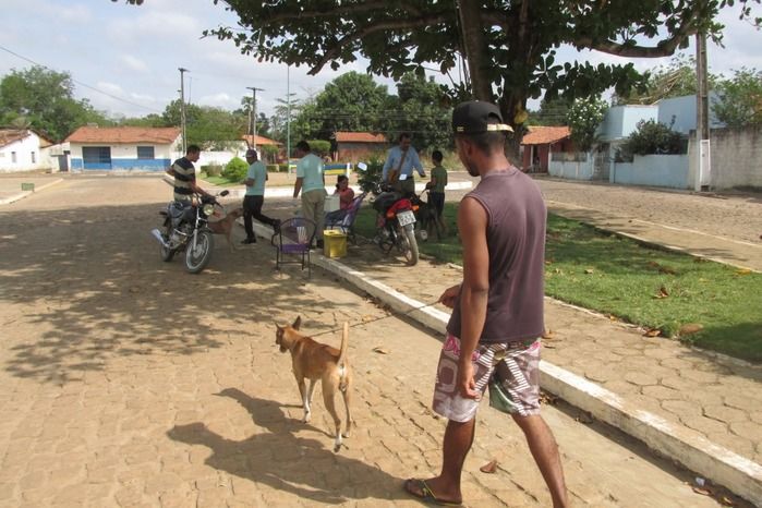 Vacinação de Cães e Gatos já iniciou em Agricolândia  - Imagem 14