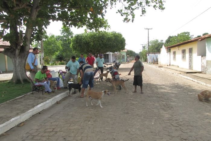 Vacinação de Cães e Gatos já iniciou em Agricolândia  - Imagem 26