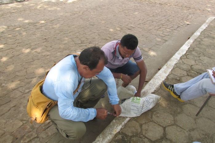 Vacinação de Cães e Gatos já iniciou em Agricolândia  - Imagem 5