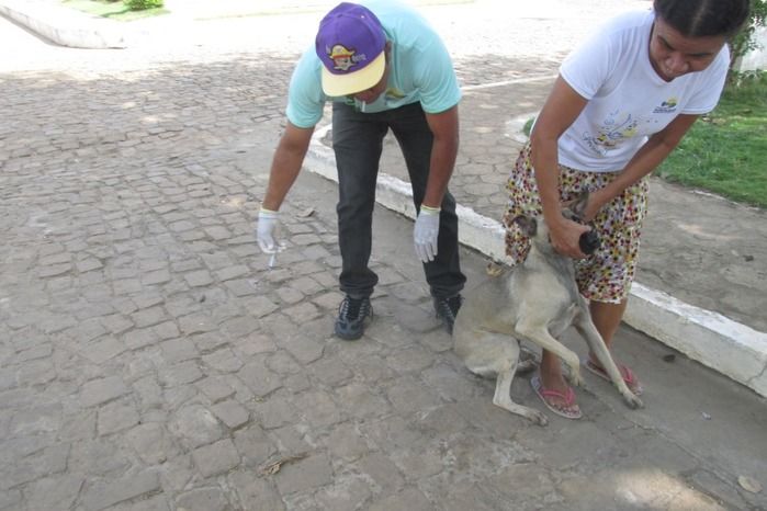 Vacinação de Cães e Gatos já iniciou em Agricolândia  - Imagem 1