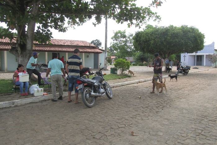 Vacinação de Cães e Gatos já iniciou em Agricolândia  - Imagem 32