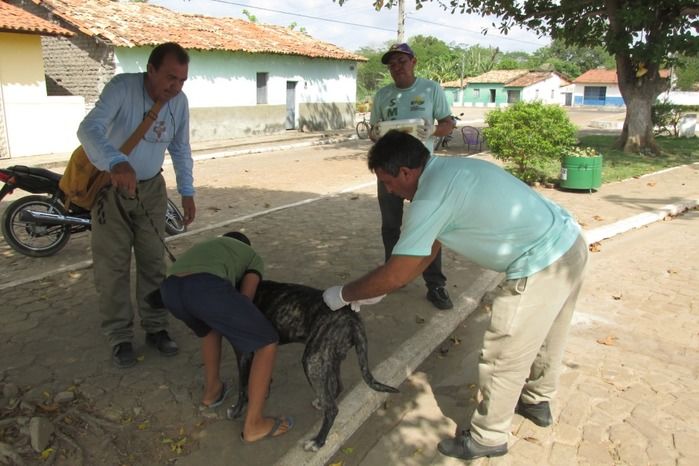 Vacinação de Cães e Gatos já iniciou em Agricolândia  - Imagem 11