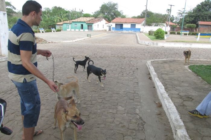 Vacinação de Cães e Gatos já iniciou em Agricolândia  - Imagem 16