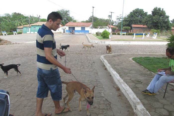 Vacinação de Cães e Gatos já iniciou em Agricolândia  - Imagem 18