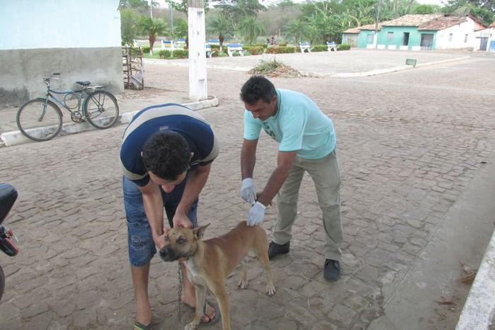 Vacinação de Cães e Gatos já iniciou em Agricolândia  - Imagem 19