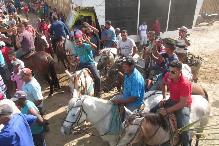 Parque de vaquejada 5 irmãos leva quase 3 mil pessoas em Curralinhos - Imagem 37