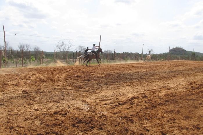 Parque de vaquejada 5 irmãos leva quase 3 mil pessoas em Curralinhos - Imagem 3