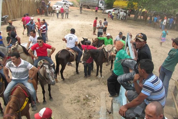 Parque de vaquejada 5 irmãos leva quase 3 mil pessoas em Curralinhos - Imagem 14