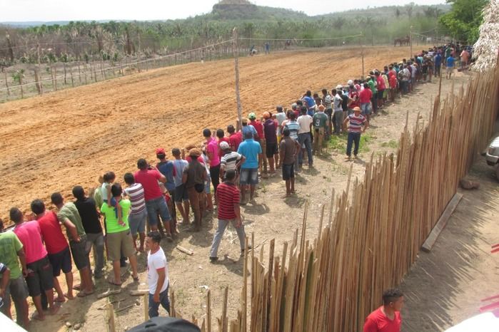 Parque de vaquejada 5 irmãos leva quase 3 mil pessoas em Curralinhos - Imagem 1