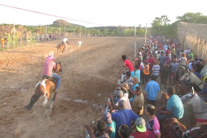 Parque de vaquejada 5 irmãos leva quase 3 mil pessoas em Curralinhos - Imagem 48