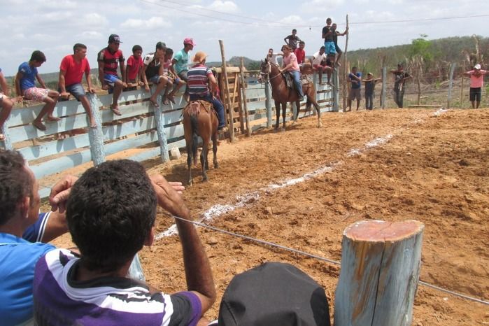 Parque de vaquejada 5 irmãos leva quase 3 mil pessoas em Curralinhos - Imagem 6