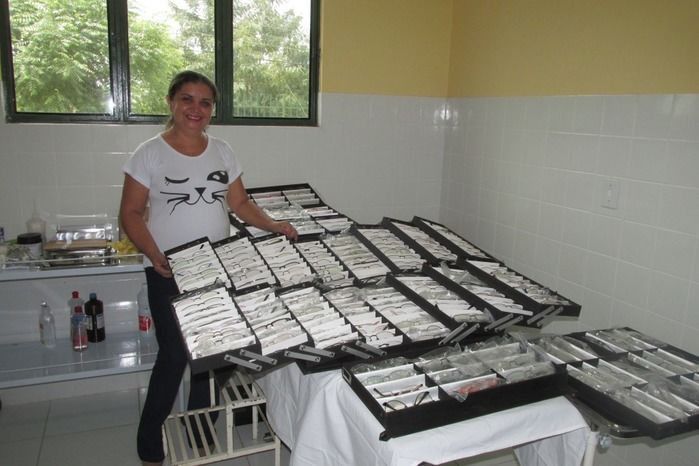 UMS e ABRACCE Fazem quatro dias de consulta de vista gratuito em Agricolândia  - Imagem 6