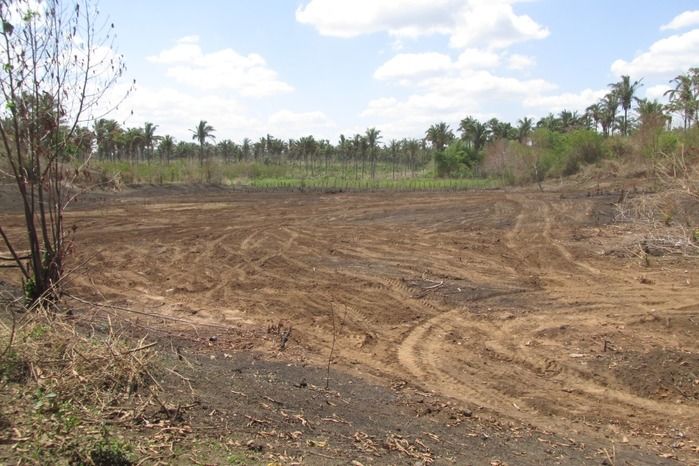 Açude Lagoa das Negas estar sendo revitalizado pela prefeitura  - Imagem 6
