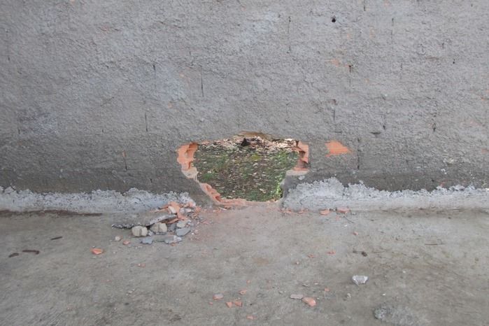 Ladrões invade distribuidora de gás e rouba dinheiro em Agricolândia  - Imagem 6