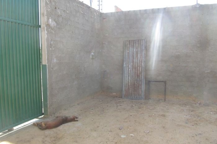 Ladrões invade distribuidora de gás e rouba dinheiro em Agricolândia  - Imagem 3