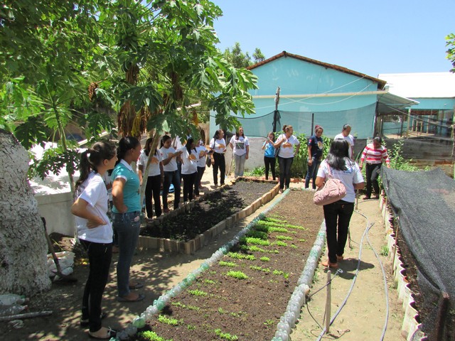 Professores de Simões Visitam Escola Liberato Vieira - Imagem 65
