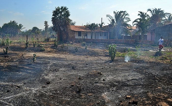 Incêndio atinge área de 200 hectares no litoral do PI e assusta moradores - Imagem 5