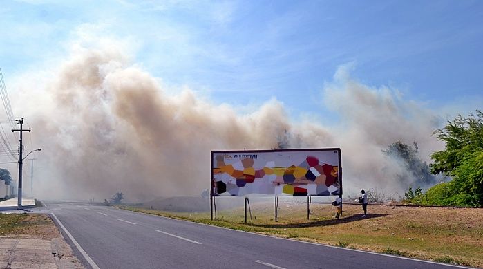 Incêndio atinge área de 200 hectares no litoral do PI e assusta moradores - Imagem 3