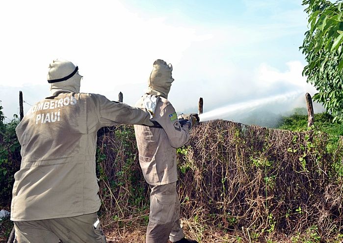 Incêndio atinge área de 200 hectares no litoral do PI e assusta moradores - Imagem 1