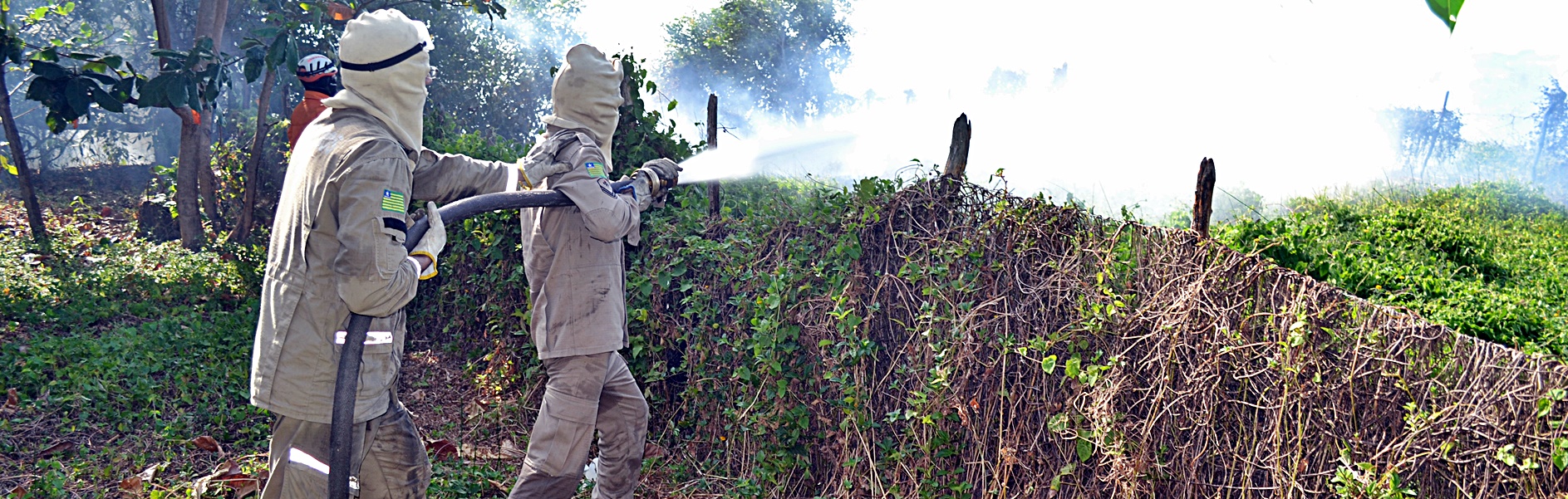 Incêndio atinge área de 200 hectares no litoral do PI e assusta moradores