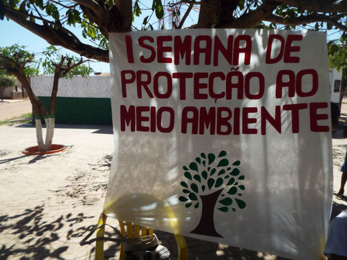 Campanha de Preservação Ambiental - Imagem 7