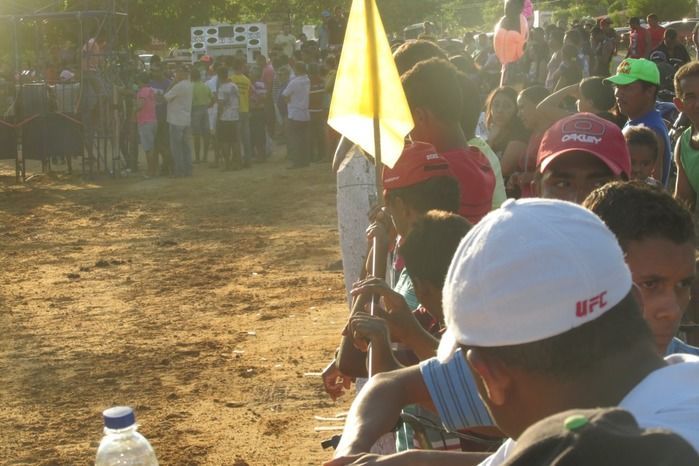 Confira a maior corrida de cavalos da História de Agricolândia  - Imagem 8