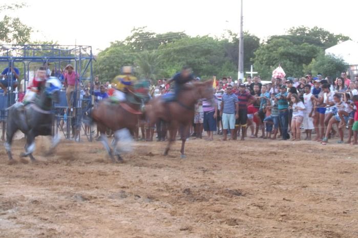 Confira a maior corrida de cavalos da História de Agricolândia  - Imagem 27
