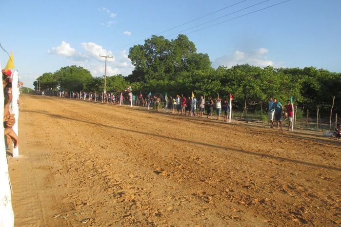 Confira a maior corrida de cavalos da História de Agricolândia  - Imagem 7