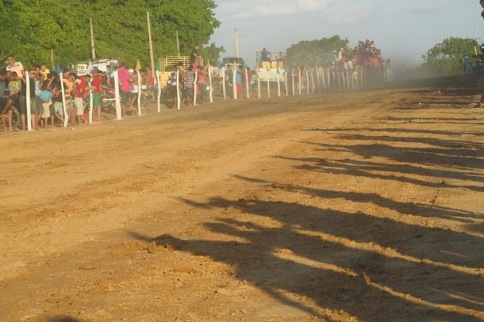 Confira a maior corrida de cavalos da História de Agricolândia  - Imagem 17