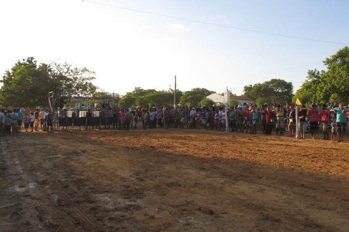 Confira a maior corrida de cavalos da História de Agricolândia  - Imagem 12