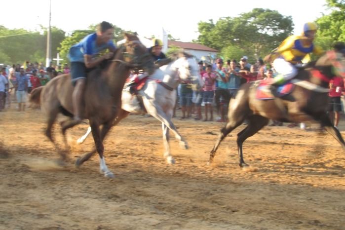 Confira a maior corrida de cavalos da História de Agricolândia  - Imagem 16